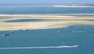 Le Banc d’Arguin