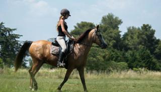 Équitation