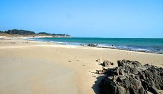 La plage & les fruits de mer