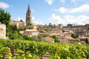 Les vignobles de Saint-Émilion